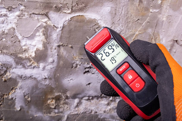 Best Mold Testing and Removal  in Ansonia, CT
