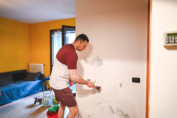 Best Mold Removal Near Me  in Ansonia, CT