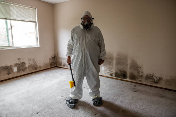 Best Crawl Space Mold Removal  in Ansonia, CT